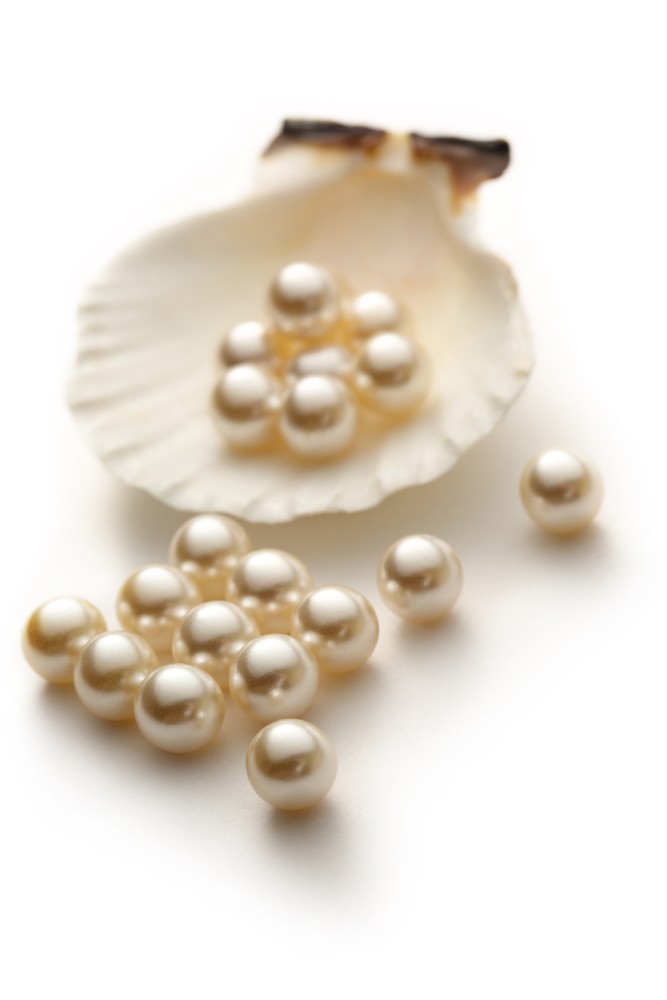 large white south sea pearls on white shell