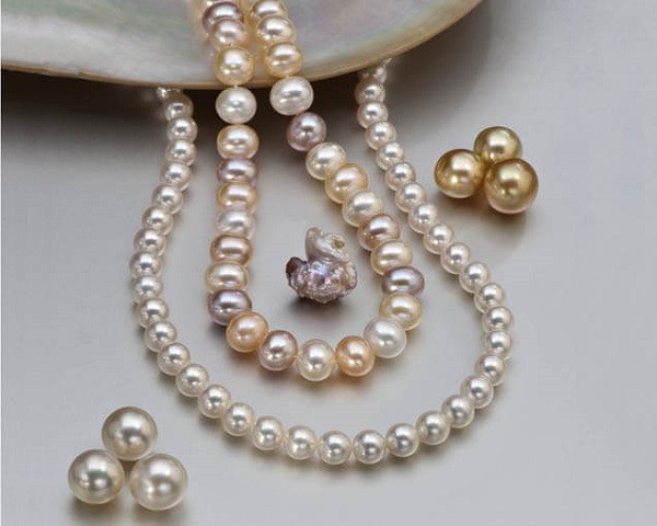Akoya vs. Freshwater Pearls
