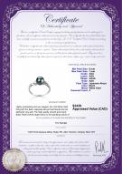 product certificate: AK-B-AAA-67-R-Andrea
