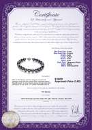 product certificate: AK-B-AAA-89-B