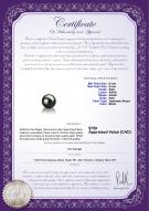 product certificate: AK-B-AAA-89-L1