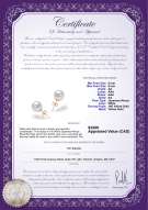 product certificate: AK-W-AA-89-E