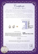 product certificate: AK-W-AAA-78-E-Eternity-YG