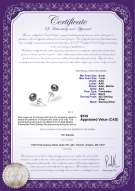 product certificate: B-67-E