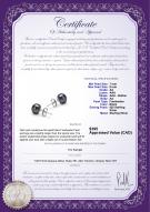 product certificate: B-AA-78-E-SS