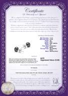 product certificate: B-AA-78-E-SS