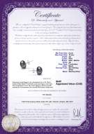 product certificate: B-AA-910-E-SS