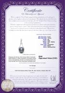 product certificate: B-Fresh-Pend-S-910-Enhancer