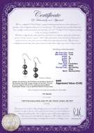 Product certificate: FW-B-A-67-E-Cerella