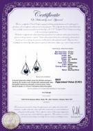 product certificate: FW-B-AA-1011-E-Nichelle