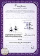 product certificate: FW-B-AA-1011-E-Nichelle