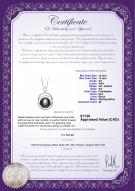 product certificate: FW-B-AA-1213-P-Judith