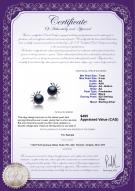 product certificate: FW-B-AA-78-E-Marissa