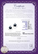 product certificate: FW-B-AA-78-E-Selene