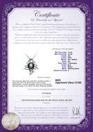 product certificate: FW-B-AA-78-P-Fishbone