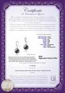 product certificate: FW-B-AA-910-E-Holly