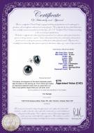 product certificate: FW-B-AA-910-E-Kelly