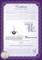 product certificate: FW-B-AA-910-P-Angel
