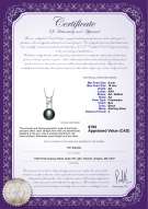Product certificate: FW-B-AA-910-P-Hiriko