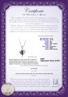 product certificate: FW-B-AA-910-P-Leeza