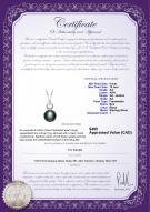 product certificate: FW-B-AA-910-P-Sonia