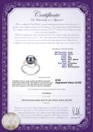 product certificate: FW-B-AA-910-R-Sadie