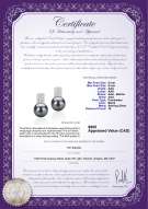 product certificate: FW-B-AAA-89-E-Alina