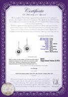 product certificate: FW-B-AAA-89-E-Lilian
