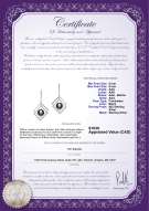 product certificate: FW-B-AAA-89-E-Lilian