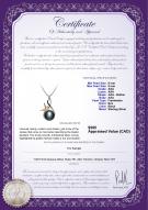 product certificate: FW-B-AAA-89-P-Hester