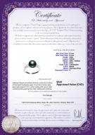 product certificate: FW-B-AAA-89-R-Dacey