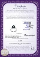 product certificate: FW-B-AAA-89-R-Erica