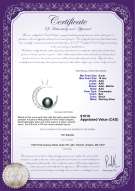 product certificate: FW-B-AAA-910-P-Moon