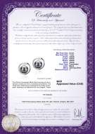 product certificate: FW-B-AAAA-67-E-Sharon