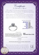 product certificate: FW-B-AAAA-67-R-Cristy