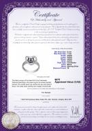 product certificate: FW-B-AAAA-67-R-Heart