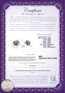 product certificate: FW-B-AAAA-78-E-Raina