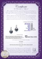 product certificate: FW-B-AAAA-78-E-Valery