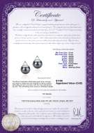 product certificate: FW-B-AAAA-89-E-Africa