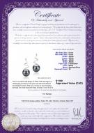 product certificate: FW-B-AAAA-89-E-Lolita