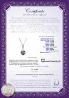 product certificate: FW-B-AAAA-89-P-Miriah
