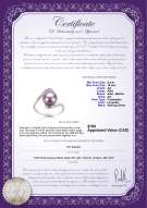 product certificate: FW-L-AA-910-R-Chantel