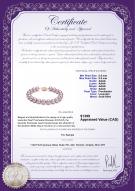 product certificate: FW-L-AAAA-8595-B