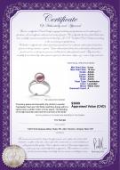 product certificate: FW-L-AAAA-910-R-Caroline