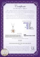 Product certificate: FW-P-AA-78-P-Nina