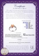 product certificate: FW-P-AAA-78-R-Jenna