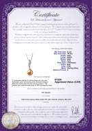 Product certificate: FW-P-AAA-910-P-Clementina