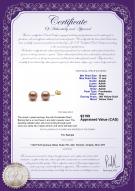 product certificate: FW-P-AAAA-1011-E