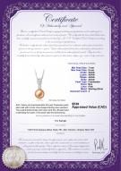 product certificate: FW-P-AAAA-78-P-Daria