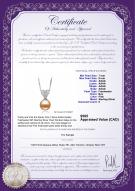 product certificate: FW-P-AAAA-78-P-Randy